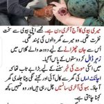 میں بیوی کی موت کی خبر سننے کے لیے بڑا بے تاب تھا کہ اچانک اماں